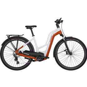 E-HORIZON EDITION LTD AMSTERDAM