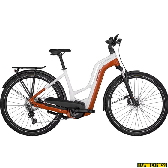 E-HORIZON EDITION LTD AMSTERDAM E-HORIZON EDITION LTD AMSTERDAM