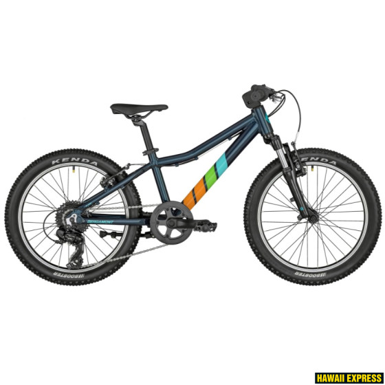 BERGAMONSTER 20 BLUE BERGAMONSTER 20 BLUE