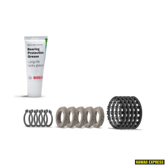 Service kit bearing protection ring BDU2