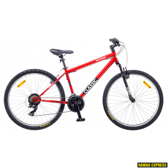 Magnum classic bike shop