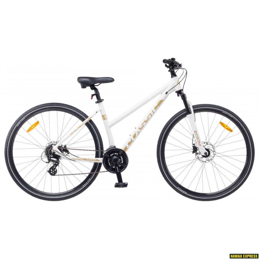 24 hotsell lady bike