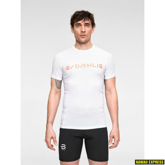 PERFORMANCE TECH PERFORMANCE TECH