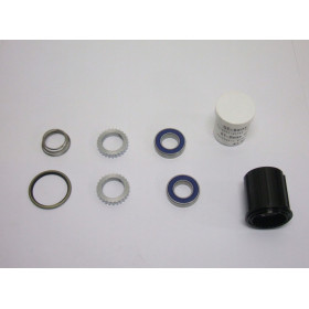Hub repare kit ratchet 240+ freehub body