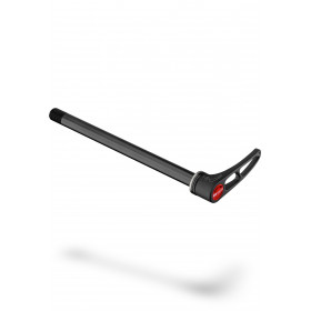 RWS10 Road disc Thru Axle 12x142mm Plug-in