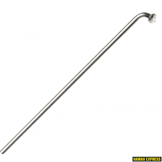 Spoke 2,0X296mm Stainless steel Champion