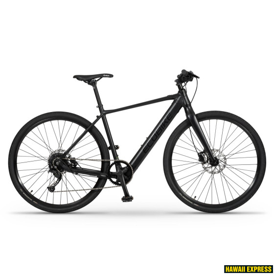 ECOBIKE URBAN ARROW 36V 601,2 Wh