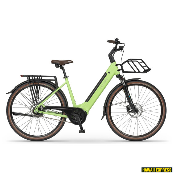 ECOBIKE LX100 AUTOMATIC GREEN 36V 504 Wh
