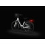 ECOBIKE LX300 WHITE 36V 900 Wh