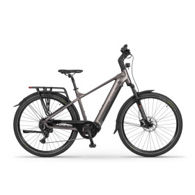 ECOBIKE MX300 GOLDEN GREY 36V 900 Wh