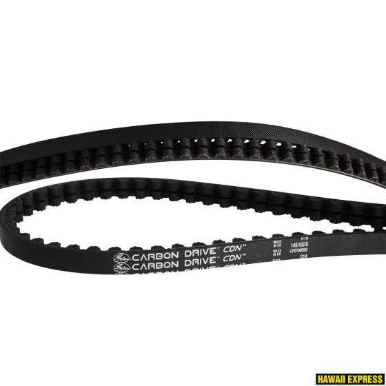 HAMMASRIHM Gates CDN VitessN8 17 115 black/one size HAMMASRIHM Gates CDN VitessN8 17 115 black/one size