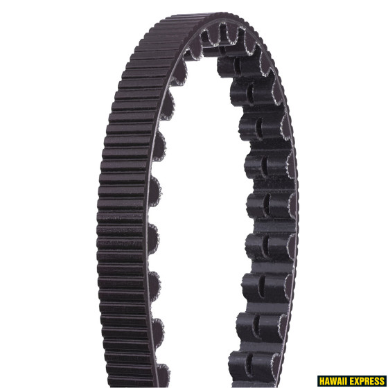HAMMASRIHM Belt E-Ville Gates CDX 125 22 HAMMASRIHM Belt E-Ville Gates CDX 125 22