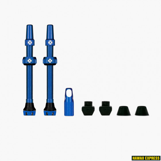 Tubeless Valves/60mm/Blue V2