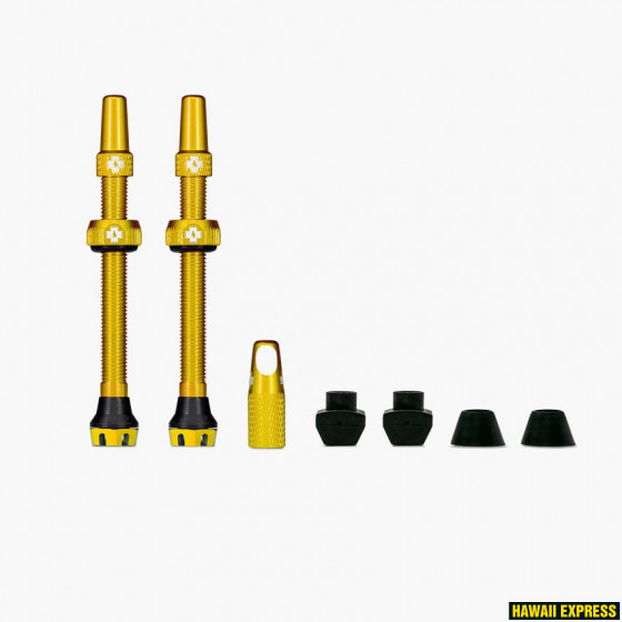 Tubeless Valves/60mm/Gold V2