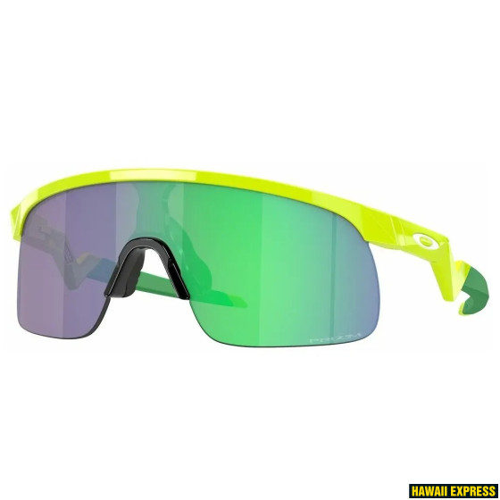 RESISTOR POLARIZED WHITE w/ PRIZM FIELD JR RESISTOR POLARIZED WHITE w/ PRIZM FIELD JR