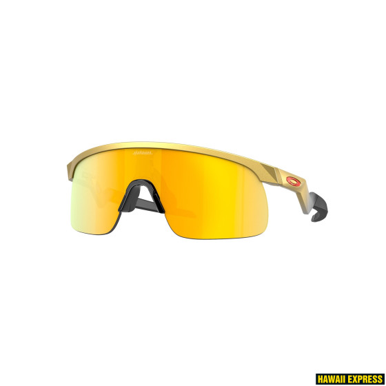 RESISTOR w/ PRIZM 24K JR