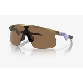 RESISTOR BRASS TAX w/PRIZM BRONZE