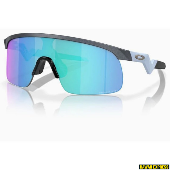 RESISTOR BLUE STEEL w/PRIZM SAPPHIRE RESISTOR BLUE STEEL w/PRIZM SAPPHIRE
