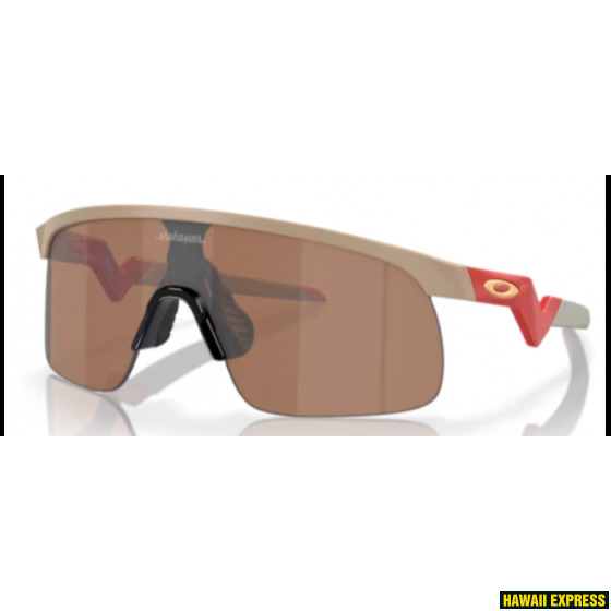 RESISTOR MATTE TERRAIN TAN w/PRIZM TUNGSTEN JR RESISTOR MATTE TERRAIN TAN w/PRIZM TUNGSTEN JR