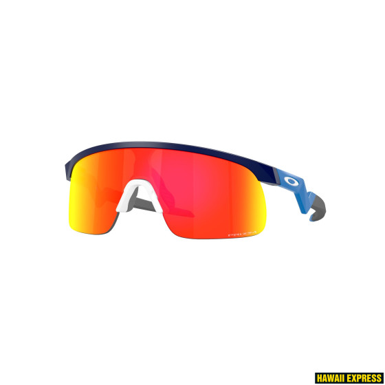 RESISTOR MATTE NAVY /w Prizm Ruby