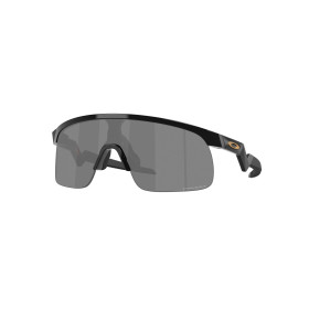 RESISTOR BLACK /w PRIZM BLACK