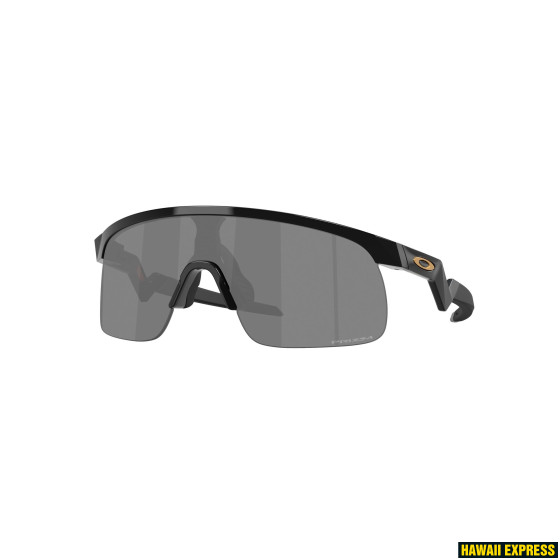 RESISTOR BLACK /w PRIZM BLACK