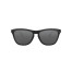 FROGSKINS POLISHED BLACK w/ PRIZM BLACK FROGSKINS POLISHED BLACK w/ PRIZM BLACK