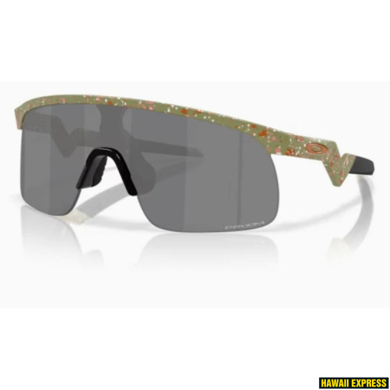 RESISTOR FERN TERRAZZO /w Prizm Black RESISTOR FERN TERRAZZO /w Prizm Black