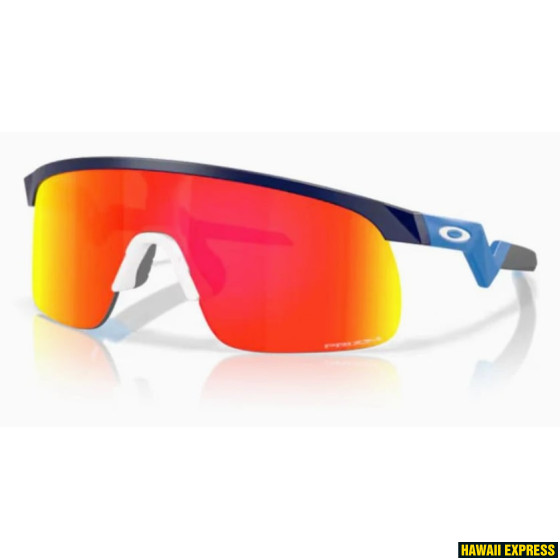 RESISTOR MATTE NAVY /w Prizm Ruby RESISTOR MATTE NAVY /w Prizm Ruby