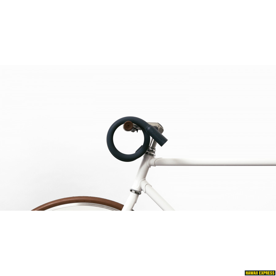Lochness bike best sale lock