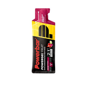 GEEL FRUIT red fruit 41g