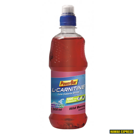 PB SPORDIJOOK L-Carnitine metsamarja 0,5L PB SPORDIJOOK L-Carnitine metsamarja 0,5L
