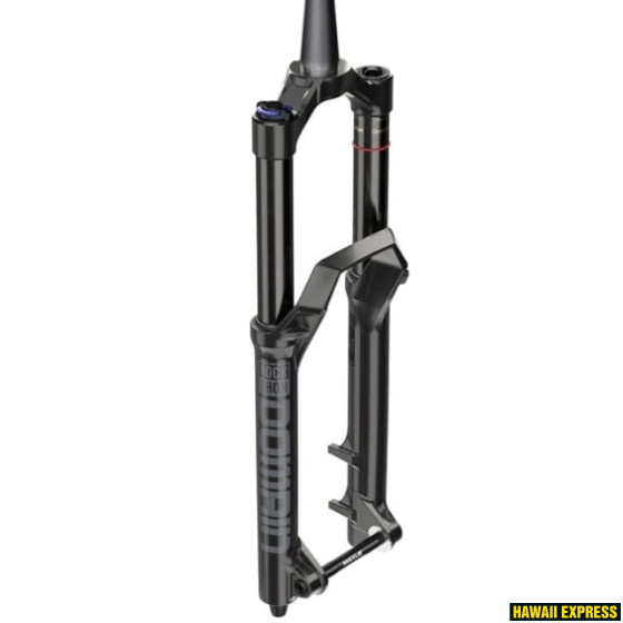 Suspension fork DOMN RC 29 Suspension fork DOMN RC 29
