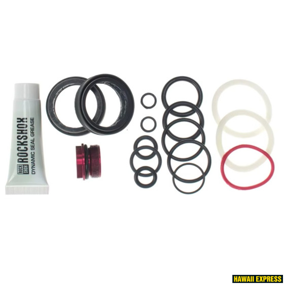 200 HOUR/1 YEAR SERVICE KIT (INCLUDES DUST SEALS, FOAM RINGS, O-RING SEALS, RUSH RL/RLR SEALHEAD) SI