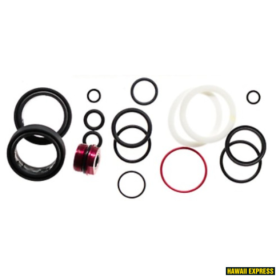 200 HOUR/1 YEAR SERVICE KIT (INCLUDES DUST SEALS, FOAM RINGS, O-RING SEALS, RUSH RL/RLR SEALHEAD) SI