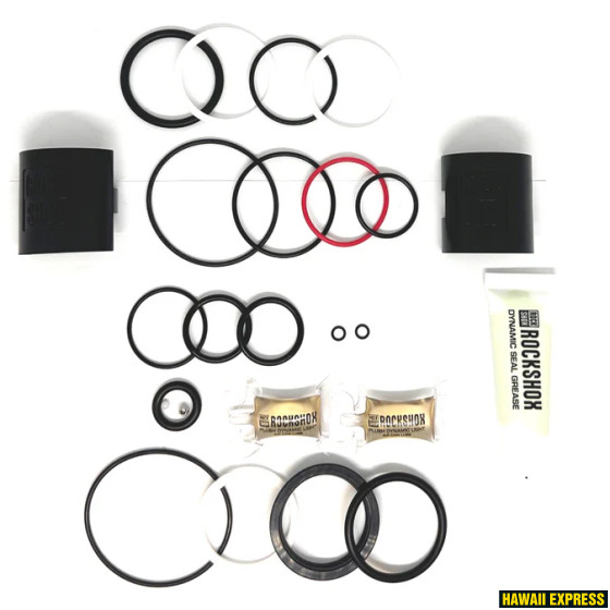 100h AND 200 HOUR/1 YEAR SERVICE KIT (INCLUDES AIR CAN, SEALHEAD, IFP, PISTON SEALS, GREASE/OIL) - V 100h AND 200 HOUR/1 YEAR SERVICE KIT (INCLUDES AIR CAN, SEALHEAD, IFP, PISTON SEALS, GREASE/OIL) - V