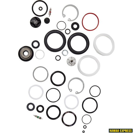 FORK SERVICE KIT DART FORK SERVICE KIT DART