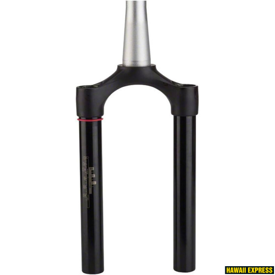 CSU SID/Reba SA 29 CSU SID/Reba SA 29
