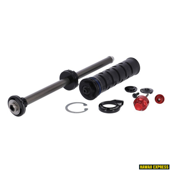 aruosa amordile DAMPER ASSEMBLY REMOTE MOTION CONTROL RL (INCLUDES RIGHT SIDE INTERNALS) - YARI B2+ aruosa amordile DAMPER ASSEMBLY REMOTE MOTION CONTROL RL (INCLUDES RIGHT SIDE INTERNALS) - YARI B2+