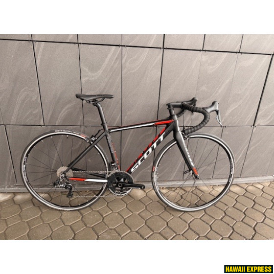 SPEEDSTER 20 CUSTOM 47/XXS