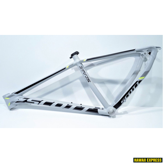 RAAM SCALE 940 RAAM SCALE 940