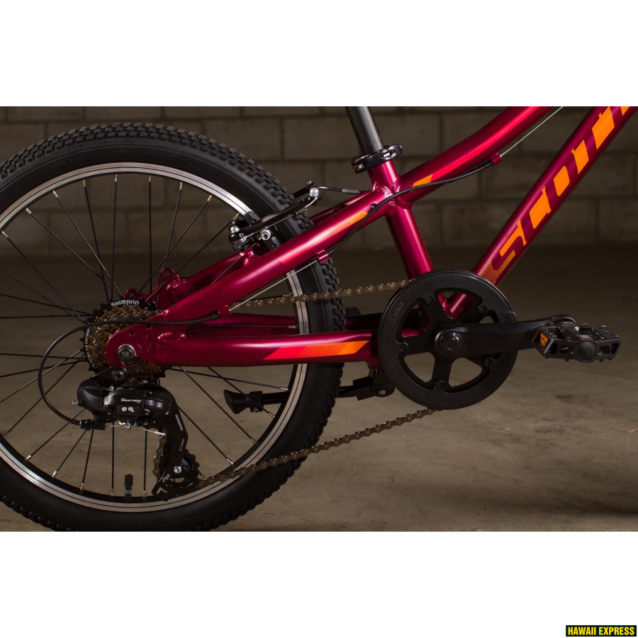 scott contessa junior