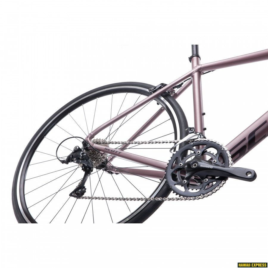 speedster 25
