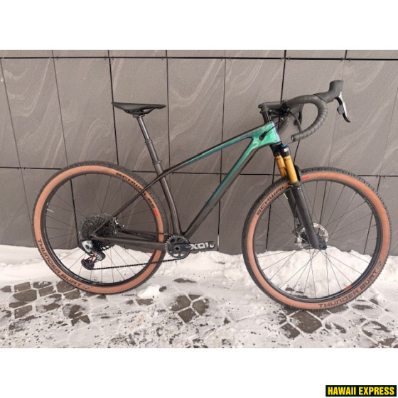 SCALE RC 900 SL S CUSTOM (Jaanika Lõiv) Used