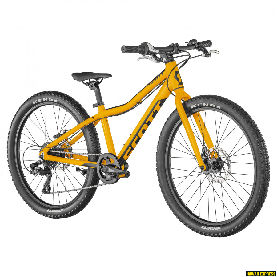Scott scale 20 rigid sales