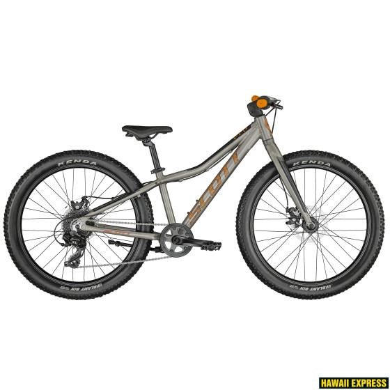ROXTER 24 SILVER ROXTER 24 SILVER