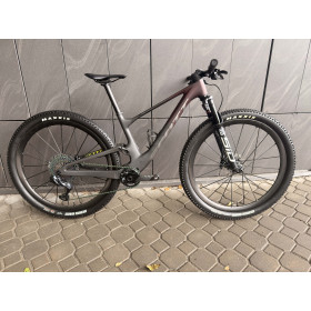 SPARK RC SL TR S Custom (Janika Lõiv)