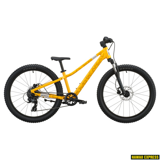 ROXTER 400 ROXTER 400