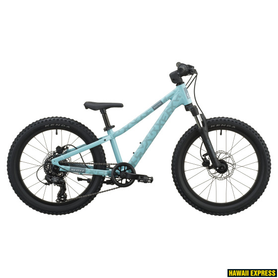 ROXTER 200