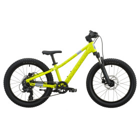 ROXTER 200